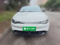 Leapmotor C01 2023 (21500 км)