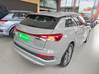 Audi Q4 e-tron 2023 (18300 км)