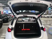 smart #1 2023 (70300 км)