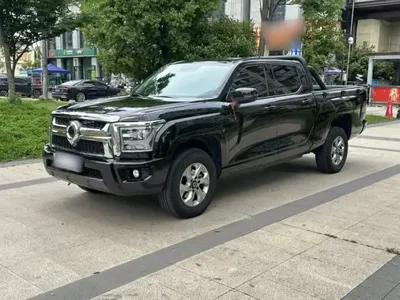 Great Wall King Kong Poer 2023 (33500 км)