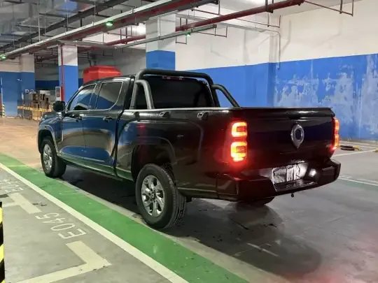 Great Wall King Kong Poer 2023 (33500 км)