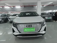Audi Q5 e-tron 2023 (6700 км)