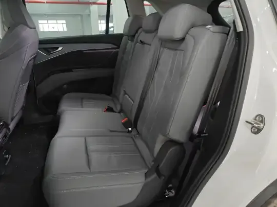 Audi Q5 e-tron 2023 (6700 км)