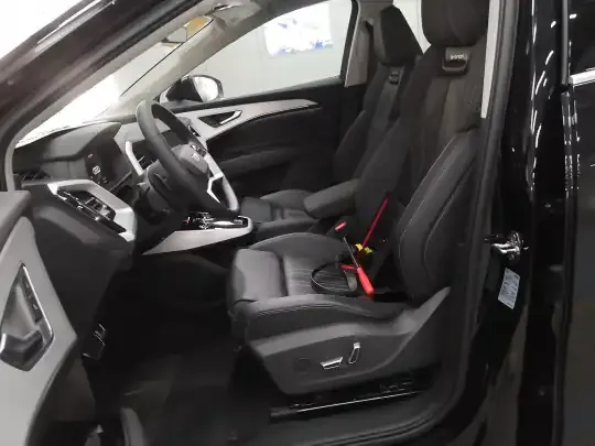 Audi Q5 e-tron 2023 (100 км)