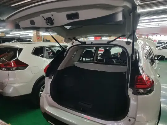 Nissan X-Trail 2022 (52900 км)