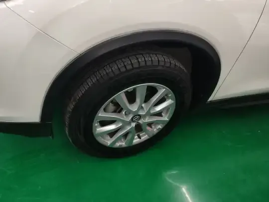 Nissan X-Trail 2022 (52900 км)