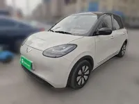 Wuling Bingo 2023 (18500 км)
