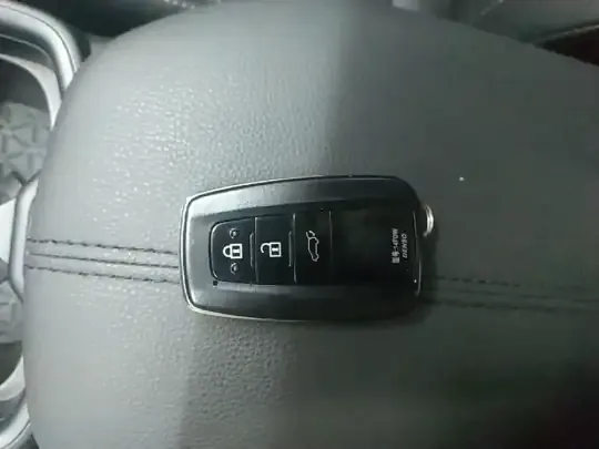 Toyota Wildlander 2023 (8700 км)