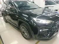 Toyota Wildlander 2023 (8700 км)