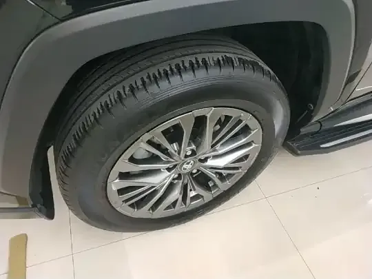 Toyota Wildlander 2023 (8700 км)