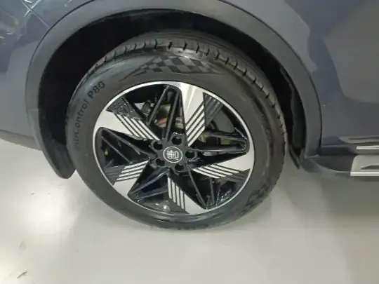 BYD Tang New Energy 2023 (64400 км)