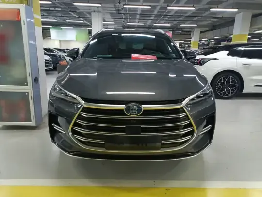 BYD Tang New Energy 2023 (64400 км)