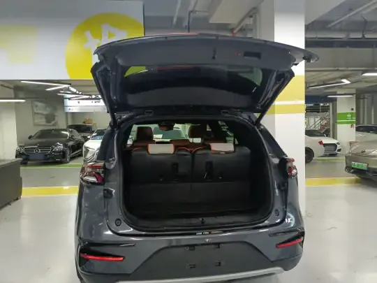 BYD Tang New Energy 2023 (64400 км)