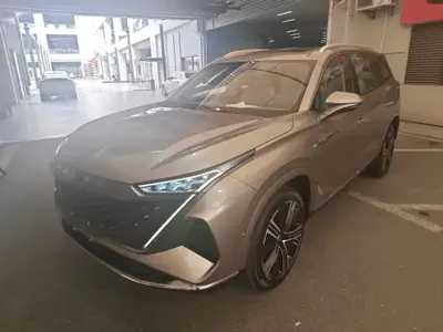 Roewe RX9 2023 (2200 км)