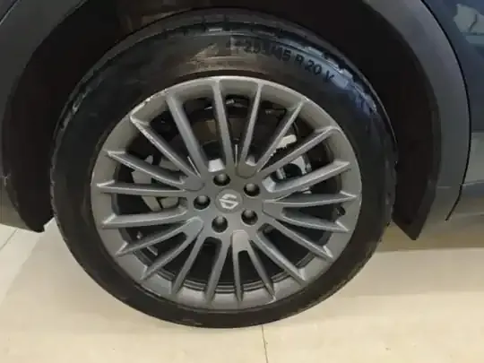 Leapmotor C11 2023 (31400 км)