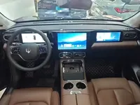 Leapmotor C11 2023 (31400 км)