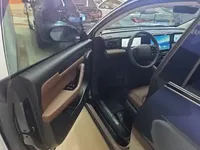 Leapmotor C11 2023 (31400 км)