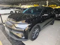 Leapmotor C11 2023 (86800 км)