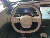 Zeekr X 2023 (45500 км)