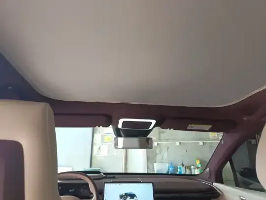 Zeekr X 2023 (45500 км)