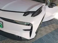 Zeekr X 2023 (45500 км)