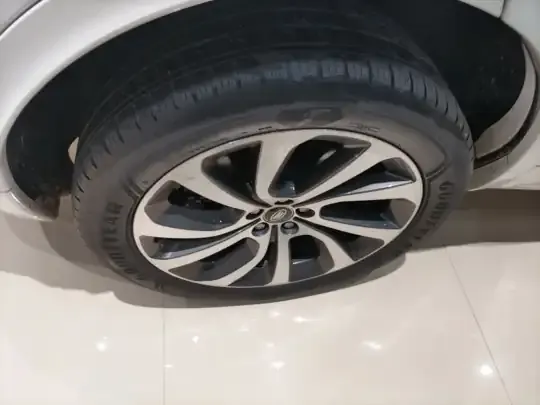 Land Rover Discovery Sport New Energy 2023 (47900 км)
