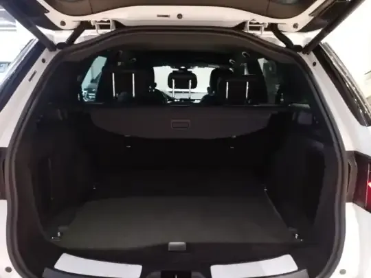 Land Rover Discovery Sport New Energy 2023 (47900 км)