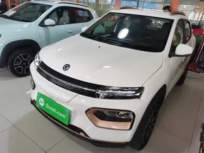 Dongfeng NAMMI EX1 2023 (11100 км)