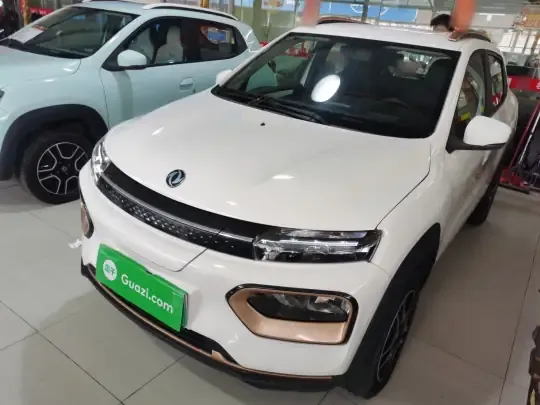 Dongfeng NAMMI EX1 2023 (11100 км)