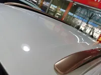 Dongfeng NAMMI EX1 2023 (11100 км)