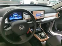 Dongfeng NAMMI EX1 2023 (11100 км)