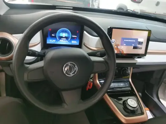 Dongfeng NAMMI EX1 2023 (11100 км)