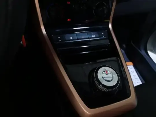 Dongfeng NAMMI EX1 2023 (11100 км)