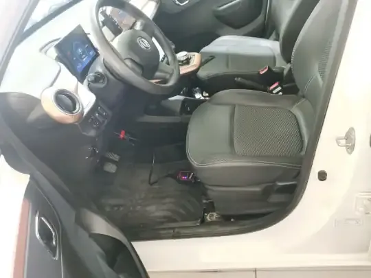 Dongfeng NAMMI EX1 2023 (11100 км)