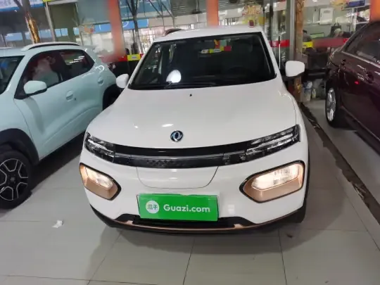 Dongfeng NAMMI EX1 2023 (11100 км)