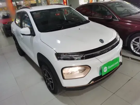 Dongfeng NAMMI EX1 2023 (11100 км)