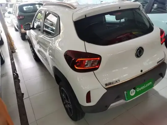 Dongfeng NAMMI EX1 2023 (11100 км)