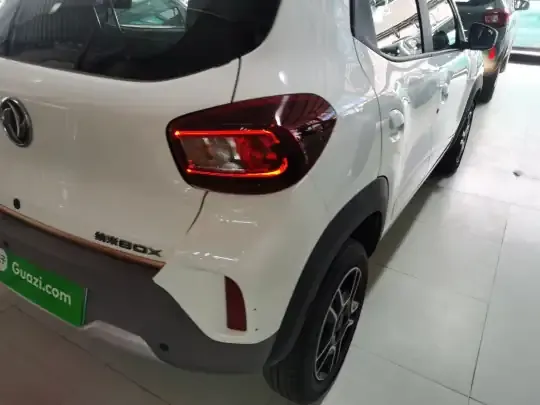 Dongfeng NAMMI EX1 2023 (11100 км)