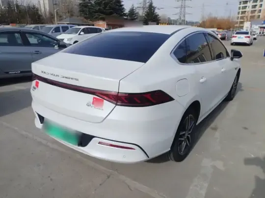 BYD Qin PLUS 2023 (88000 км)