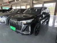 EXEED Lanyue 2023 (7100 км)