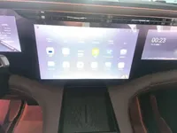 EXEED Lanyue 2023 (7100 км)