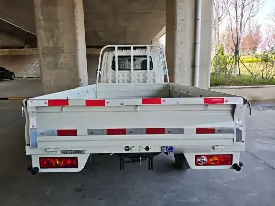 Foton Xiangling M New Energy 2023 (43000 км)