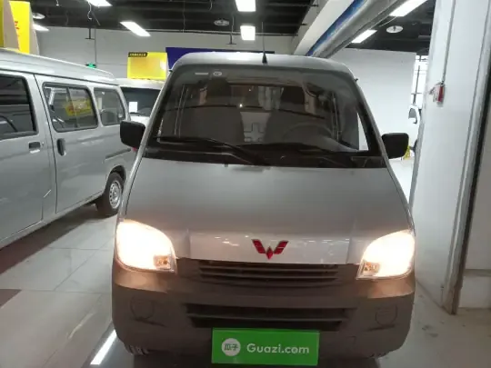 Wuling Zhiguang 2023 (15600 км)