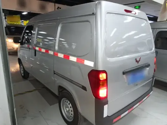 Wuling Zhiguang 2023 (15600 км)