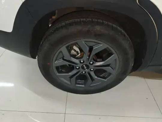 Kia Seltos 2023 (15400 км)