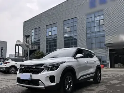 Kia Seltos 2023 (24100 км)