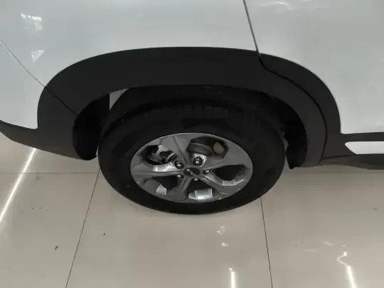 Kia Seltos 2023 (24100 км)