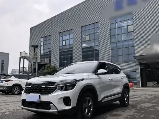 Kia Seltos 2023 (24100 км)