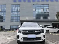 Kia Seltos 2023 (24100 км)
