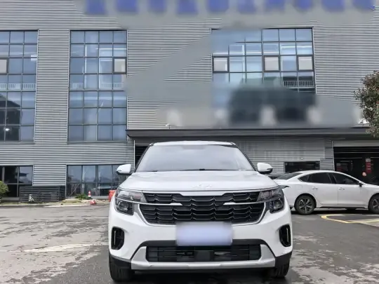 Kia Seltos 2023 (24100 км)